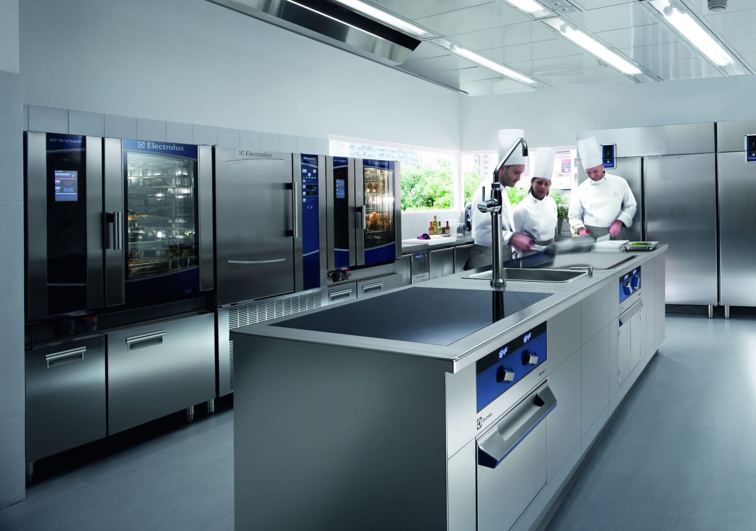 Chefs working in Electrolux Professional kitchen