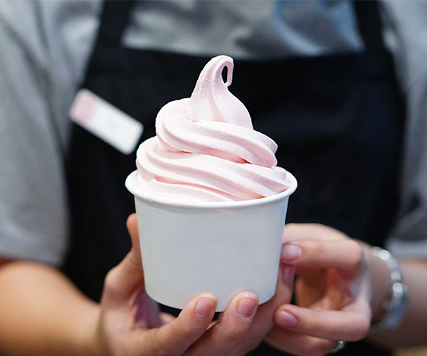 Boost business with a soft serve ice cream machine - Electrolux  Professional North America
