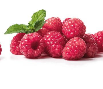 raspberry refrigeration