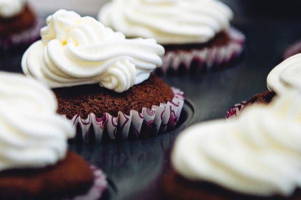 Double chocolate gluten-free sponge cake & whipped cream speedelight pep recipe