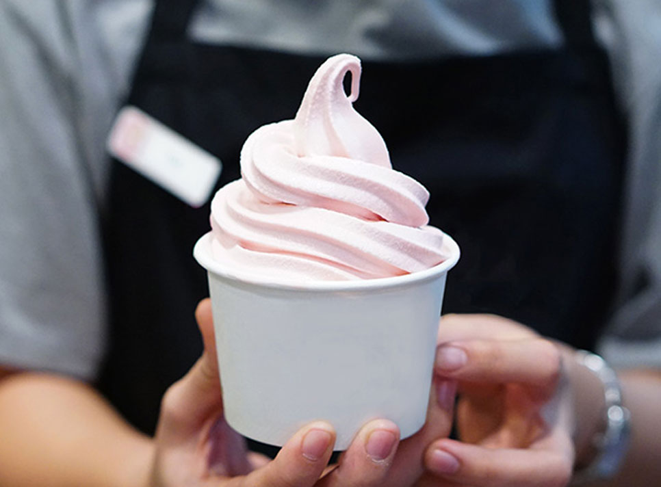 soft ice cream gelato display refrigerator