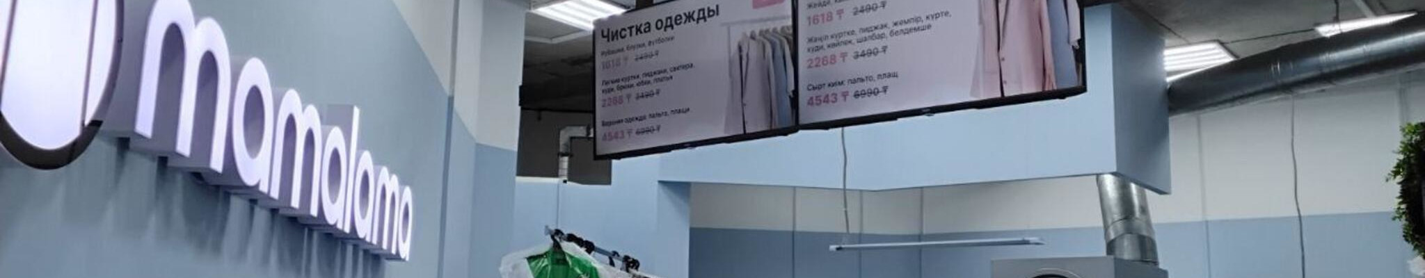 Small laundry shop with light blue walls and a lama as a logo