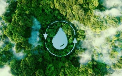 Eco-friendly-laundry-practices-for-your-hotel_